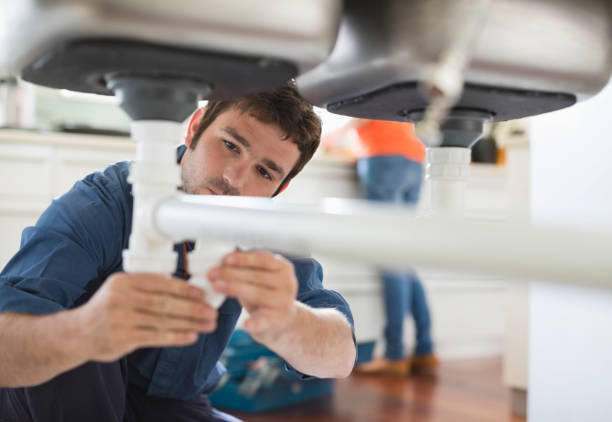 Best Clogged Drain Plumber  in Dallesport, WA